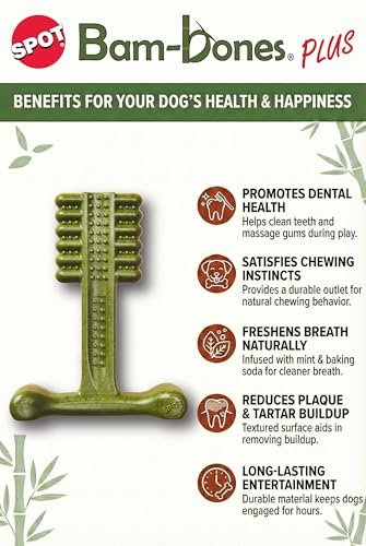 SPOT Bam-Bones Plus Toothbrush Dog Chew Toy for Large Dogs 60-90 lbs, Bamboo & Nylon Dental Chew with Mint & Baking Soda, T-Bone Shape for Moderate to Heavy Chewers, 7 Inch - size: 7 Inch (Pack of 1)