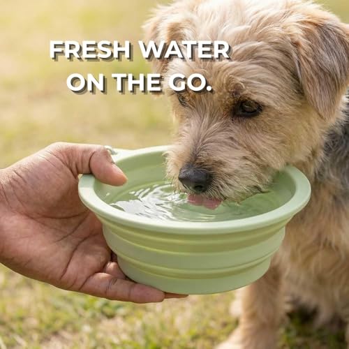 Collapsible Dog Bowls 2 Pack (22oz Each) – Portable Foldable Silicone Travel Bowl Set with Slow Feeder & Carabiner Clip for Hiking Camping Backpack | Dishwasher Safe | for Medium Dogs