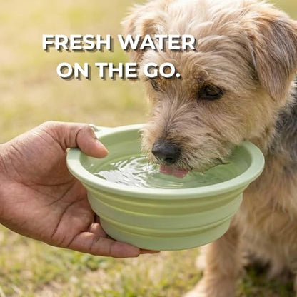 Collapsible Dog Bowls 2 Pack (22oz Each) – Portable Foldable Silicone Travel Bowl Set with Slow Feeder & Carabiner Clip for Hiking Camping Backpack | Dishwasher Safe | for Medium Dogs