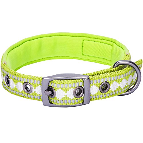 Blueberry Pet Reflective Jacquard Dog Collar with Neoprene Padding & Metal Buckle | Soft & Adjustable Safety Collar - Macaw Green, Neck 9-12.5", for Small Breed - color: Metal Buckle-Macaw Green, size: Small