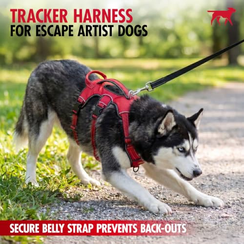Tuff Pupper Escape Proof No Escape Dog Harness | 5 Point Adjustable Fit Harness for Dogs | Padded Dog Harnesses | Handle Dog Lift Harnesses - color: Hot Pink, size: Medium: 22-27 Inch Chest