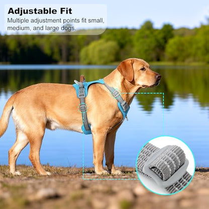No Pull Dog Harness – Adjustable Reflective Nylon Vest for Small Medium Large Dogs, Escape Proof Training Harness with Leather Control Handle, Lightweight Aluminum Hardware (Cyan, L) - color: Cyan, size: L