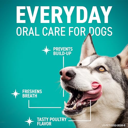ORAVET Dental Chews for Dogs, Oral Care and Hygiene Chews (Large Dogs, Over 50 lbs.) Pink Pouch, 14 Count - size: 14 Count (Pack of 1)