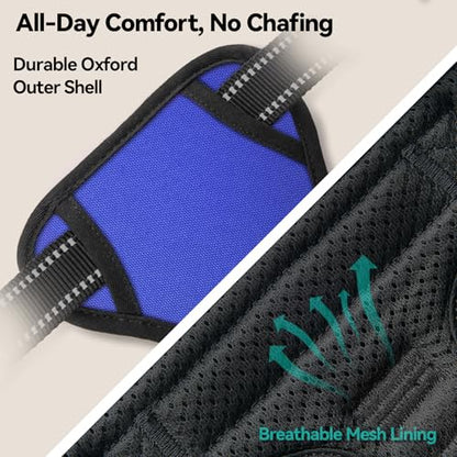 PHOEPET No Pull Dog Harnesses for Small Puppies Reflective Adjustable Front Clip Vest with 2 Metal Leash Attachment Hooks Soft Handle [Over The Head Design](S, Royal Blue) - color: Royal Blue, size: Small