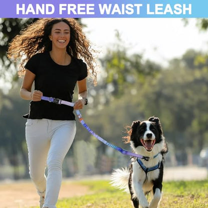 Heavy Duty Hands Free Dog Leash with Quick Release Carabiner and Adjustable No Pull Bungee Dog Running Waist Leash，for Walking and Training with Car Seat Belt 4-6FT (Aurora Purple) - color: Aurora Purple