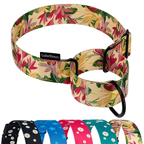 CollarDirect Martingale Dog Collar Heavy Duty Nylon Slip Collars for Small Medium Large Dogs [Nylon, Patterned, Toffee, L, 15"-20"] - color: Toffee, size: Large (Neck Size 15"-20")