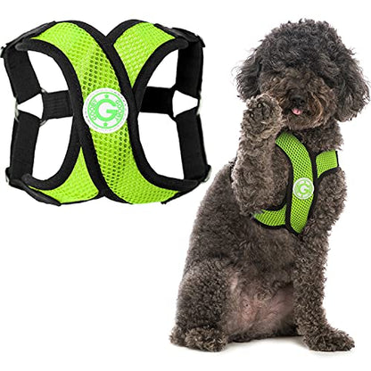 Gooby - Comfort X Step-in Harness, Choke Free Small Dog Harness with Micro Suede Trimming and Patented X Frame, Green, Small - color: Green, size: Small