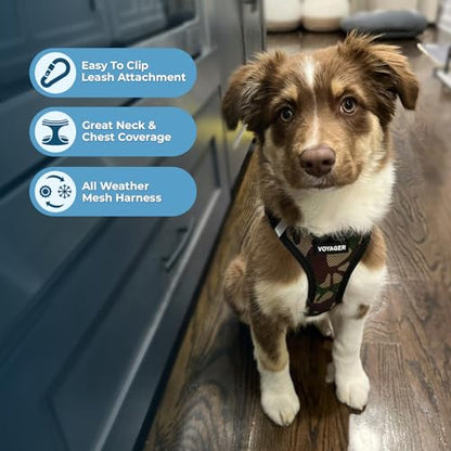 Best Pet Supplies - All Weather Mesh / Plush, Reflective, No Pull Harness for Small, Medium Dogs, Cats - Secure with Hook & Loop Fastener, Buckle, Double D-Rings - Army/Black Trim, XS - color: Harness (Army/Black Trim), size: XS (Chest: 13 - 14.5")