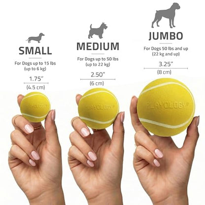 Playology Dog Toys | Squeaky Chew Ball for Dogs | Chicken Scented Medium Dog Ball | Bouncy Floating Chew Toys for Fetch - size: Medium, style: Chicken