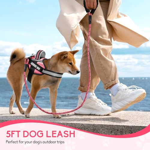 Service Dog Vest Harness and Leash Set, Animire in Training Dog Harness with 10 Dog Patches, Reflective Dog Leash with Soft Padded Handle for Small, Medium, Large, and Extra-Large Dogs (Rosy,XS) - color: Rosy, size: XS