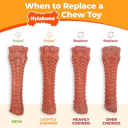 Nylabone Power Chew Classic Bone Chew Toy for Dogs, Durable Dog Toys for Aggressive Chewers, Flavor Frenzy Beef Jerky & Chicken, Large/Giant - Up to 50 lbs. (2 Count)
