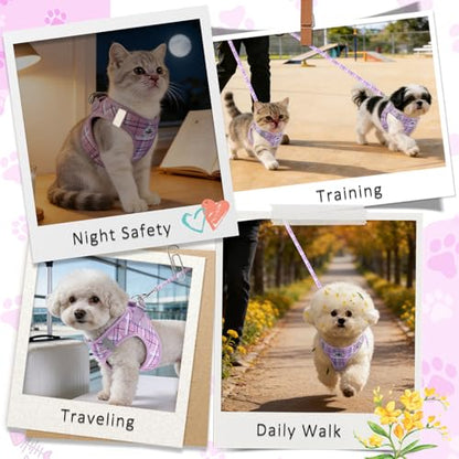 Gyuzh Dog Harness and Leash Set, 3-in-1 Step in No Pull Harness Vest Collar for Small Dogs & Cats, Lightweight Breathable Mesh Reflective Plaid with Padded Handle (Purple, XXS) - color: Purple, size: XXS