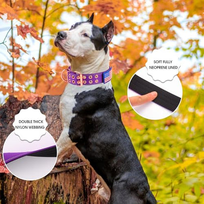 Heavy Duty Tactical Dog Collar with Neoprene Padded and Metal Buckle, Reflective Nylon for Medium to Large Dogs(Purple, Medium) - color: Purple, size: Medium (Pack of 1)