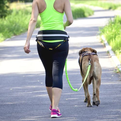 Dingo Hands Free Leash and Belt for Walking and Running with Dog, Bungee Training Leash, o-Ring Z30004