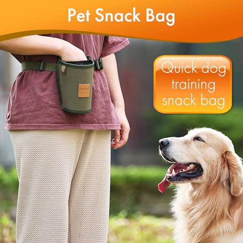 Portable Dog Treat Pouch for Training - Outdoor Waist Pack with Medium-Stiff Polyester, Leash Clip & Zippered Pocket for Pet Treats/Rewards (Grey)