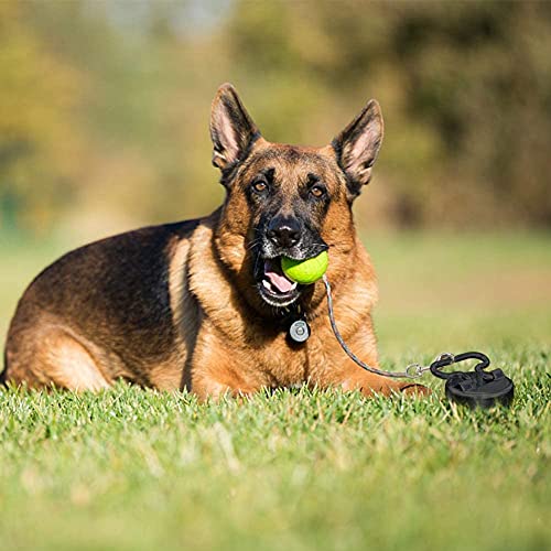 Eurmax USA Dog Tie Out Stake Bonus Dog Tie Out Cable Spiral Heavy Duty Anchor Kit for Dogs Saw Teeth Design Ground Anchor Stake for Trampolines, Canopy Tents,Car Ports (Silver)