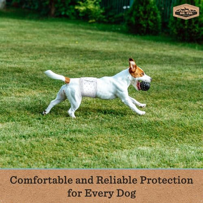 Dr Pol Dog Diapers for Male Dogs | Disposable Pet Diapers with Wetness Indicators | Adjustable Fit | Leak Protection & Super Absorbent | Perfect for Heat Cycles & Training Accidents | Pack of 50 - size: MD Waist Size 18 - 25 in