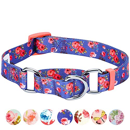 Blueberry Pet Spring Scent Inspired Rose Print Martingale Safety Training Dog Collar, Irish Blue, Large, Heavy Duty Adjustable Collars for Dogs - color: Irish Blue, size: Large