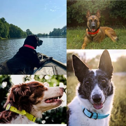 Heavy Duty Waterproof No Smell Dog Collar, Stronger Than Leather, for Active Dogs, Bathing, Dog Parks, Beach, Lake, Trails, Easy on Skin & Fur (Yellow, Large) - color: Yellow, size: Large