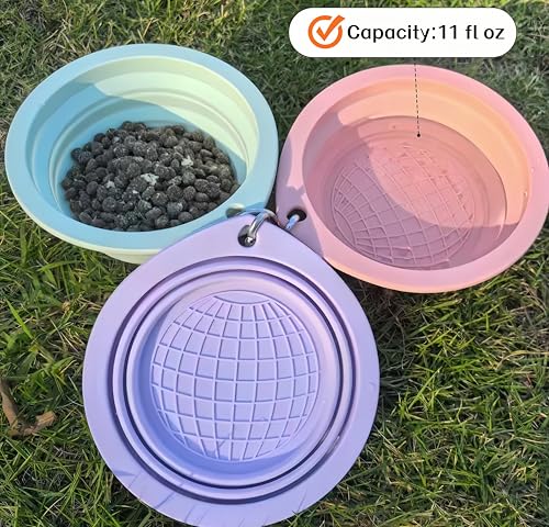Portable Collapsible Pet Bowl - Food Grade TPR/Silicone, Foldable Dog Cat Travel Bowl with Carabiner for Hiking Camping, Easy Clean & Lightweight (Purple) - color: Purple