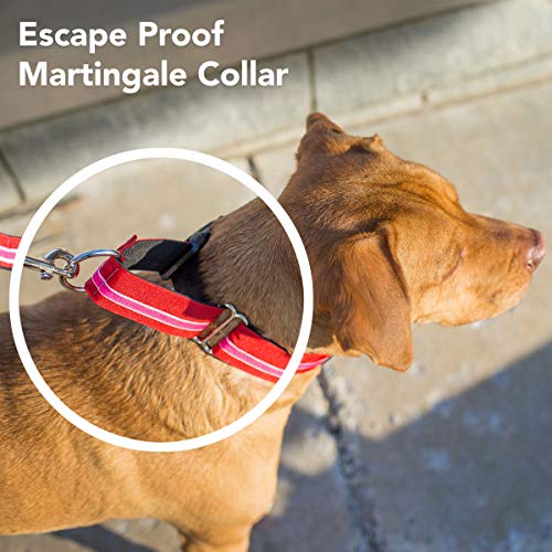 If It Barks 1.5" Martingale Collar for Dogs, Adjustable Nylon, Made in USA,Key Lime Pie,Small (11" - 15") - color: Key Lime Pie, size: Small (11"-15") w/o Buckle