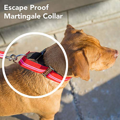 If It Barks 1.5" Martingale Collar for Dogs, Adjustable Nylon, Made in USA,Key Lime Pie,Small (11" - 15") - color: Key Lime Pie, size: Small (11"-15") w/o Buckle