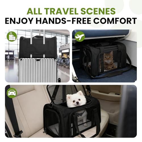 Soft-Sided Cat Carrier Expandable Pet Carrier Airline Approved Mesh Travel Carrier Up to 22lbs for Cats Small Dogs Collapsible Escape-Proof with Shoulder Strap Washable (20x13x13 Black) - color: Black, size: 13.4"L x 13.4"W x 20.1"H