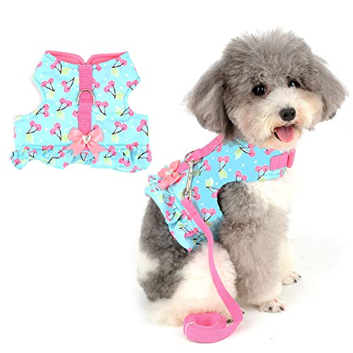 Zunea No Pull Small Dog Girl Harness Dress Escape Proof Cat Kitten Vest Harness Leash Set Step-in Soft Cotton Padded Cherry Printed Jacket Chihuahua Puppy Clothes with Bow for Walking Blue XS - color: blue cherry, size: XS (Chest:12.2-13.7", Neck:8.2-9.4"