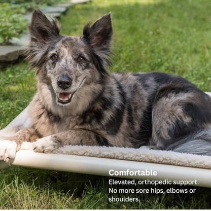 Kuranda Chewproof Elevated Dog Bed – 44" x 27" - Sunsure Textilene - Sierra - color: Sierra, size: X-Large