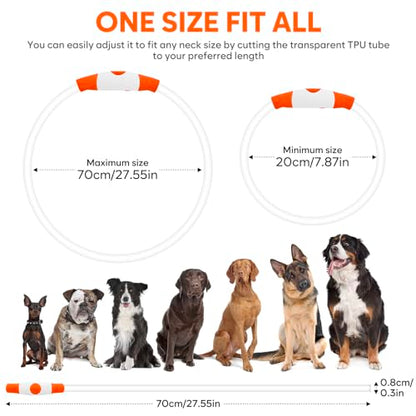 HIGO Light Up Dog Collar USB Rechargeable LED Dog Collar Glow in The Dark, TPU Flash Dog Necklace Light Make Your Dogs Be Visible& Safe (Orange) - color: Orange