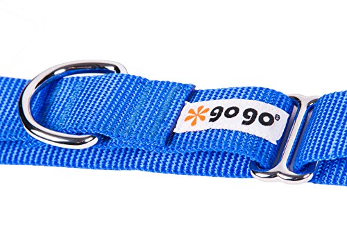 GOGO Pet Products 3/4-Inch Martingale Dog Collar, Medium, Blue - color: Blue, size: Medium (3/4" web width)