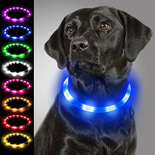 Joytale Light Up Dog Collar, Rechargeable Rainproof LED Collar for Night Walking Safety, Soft Silicone Glow in The Dark, Suitable for Small Medium Large Dogs, Blue - color: Blue