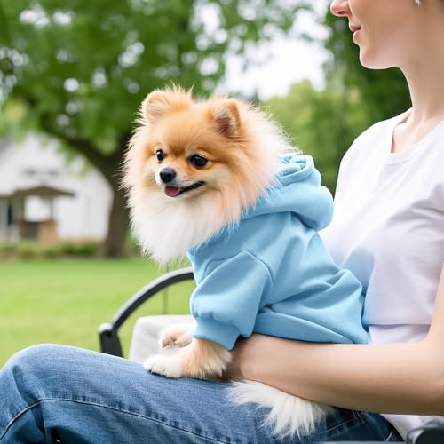 Idepet Pet Dog Hoodies Dog Clothes for Small Dogs Vest Chihuahua Clothes Warm Coat Jacket Autumn Puppy Outfits Cats Dogs Clothing(M,Light Blue) - color: Light Blue, size: Medium