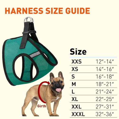Dogline Boston Step in Mesh Dog Harness with Service Dog Patch No Choke Pet Vest Soft Gentle Padded Chest Halter for Puppies Small Medium and Large Dogs 21 to 24 inches Girth Dark Teal - color: Dark Teal, size: Girth 21 to 24"