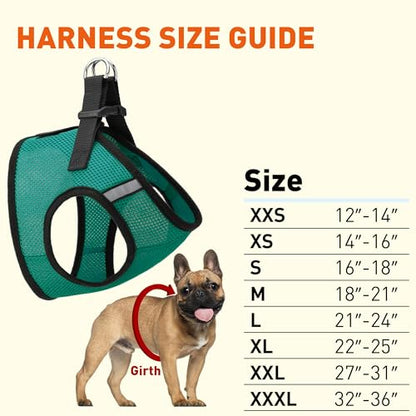 Dogline Boston Step in Mesh Dog Harness with Service Dog Patch No Choke Pet Vest Soft Gentle Padded Chest Halter for Puppies Small Medium and Large Dogs 21 to 24 inches Girth Dark Teal - color: Dark Teal, size: Girth 21 to 24"