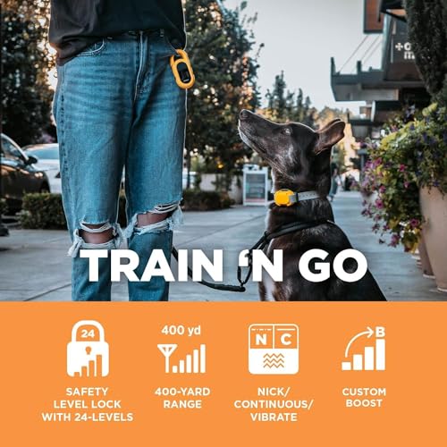 Dogtra CUE Yellow – E-Collar for Dogs Training Collar with Remote – Training Made Easy for Everyday Dog Owners – Gentle Vibration, Custom Boost, Waterproof, Rechargeable, 400-Yard Range System - color: Gen 1 Yellow
