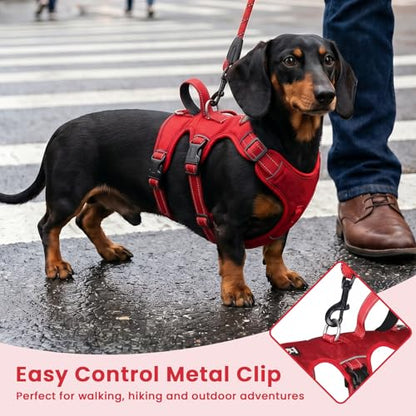 Escape Proof Dog Harness and Leash Set,Soft Padded Full Body Pet Harness, No Pull Reflective Adjustable Dog Vest with Handle, Easy Control Dog Harness for Medium Large Dogs Training Walking Running - color: Red, size: M