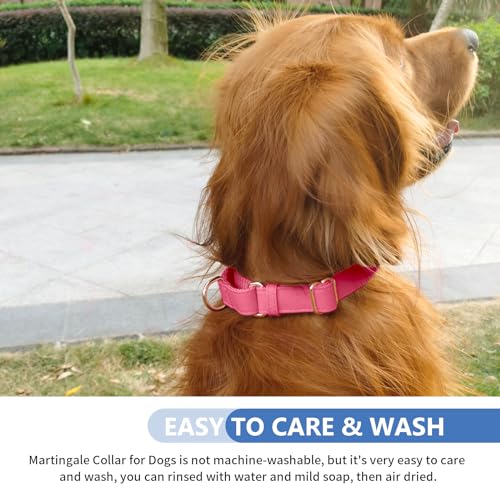 Soft Leather Martingale Dog Collar - Adjustable Rose Gold Limited Slip Collars [Easy to Clean], Stylish Durable Heavy Duty Nylon No Pull Training Collar for Small Medium Large Dogs XS Hot Pink - color: Hot Pink, size: XS (Neck 8"-11", Width 3/5")