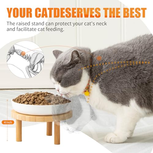 Lusifaco Shallow Elevated Cat Bowls,5.9 Inch Wide Raised Ceramic Cat Dishes with Bamboo Stand, Whisker Friendly Pet Water or Food Plates Feeding Station for Indoor Cats, Kitten(Green,Set of 2) - color: Green