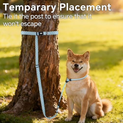 QQPETS Adjustable Slip Lead Dog Leash, Hands Free Waist Leash for Dog Walking, Reflective Training Lead with 360° Swivel Anti-Tangle, 4-7 ft Length for All Breeds - color: Blue Plaid