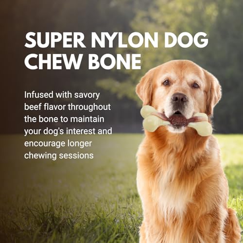 Consumable Corner - Super Nylon Dog Chew Bone - Beef Flavor Infused - for Teething & Aggressive Chewers - Long Lasting Durable Material - Safe for All Dogs - Small - 1 Bone - size: Small