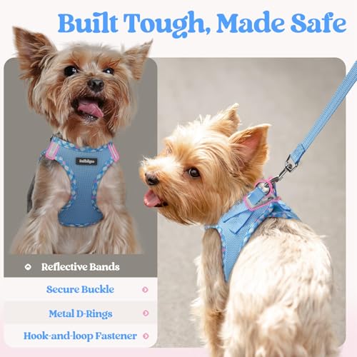 rabbitgoo Dog Harness Small Sized and Leash Set, Step in Soft Light Puppy Vest, Breathable Mesh Pet Harness, Reflective for Safe Easy Walking, Blue & Plaid Trim XXS - color: Blue & Plaid Trim, size: Xxs (chest: 12.4 - 14.2")