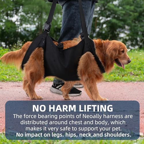 Dog Lift Harness,Full Body Dog Sling Carrier with Handle,Total Body Support for Dogs,Pet Dog Leg Support Sling Adjustable Retractable Breathable Lift Harness (M) - size: M