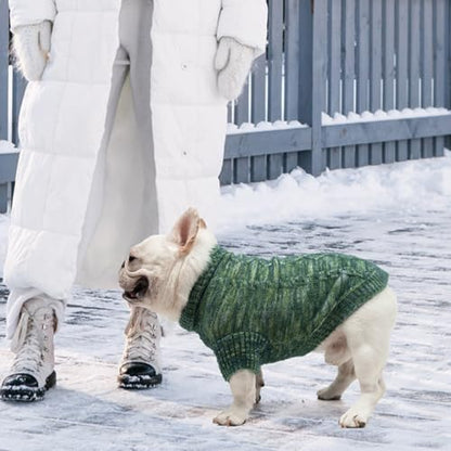 KOOLTAIL Small Dog Sweater, XS Green Fuzzy Thick Super Soft Warm Dog Christmas Sweater Turtleneck Pullover for Cold Weather, Classic Cable Knitwear, Fleece Pet Fall Winter Clothes Coats Puppy Cats - color: Green, size: X-Small