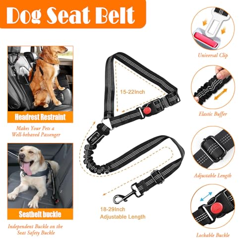 LOBEVE No Pull Dog Harness, Collar & Leash Set | Includes Dog Seat Belt, Collapsible Bowls & Poop Bag Dispenser. Ideal for Training, Walking, Hiking. Fits Small to Large Dogs(Black-M) - color: Black, size: Medium