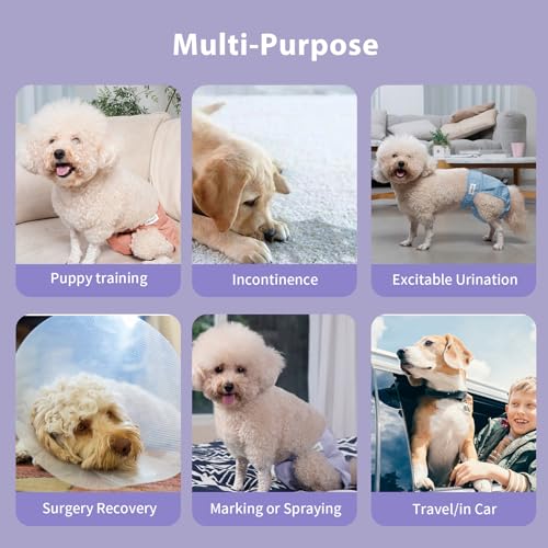 Vecomfy Reusable Female Dog Diapers for Medium Dogs,(4 Pack) Easy Absorbent Medium Doggie Diapers for Peeing,in Heat,Dog Period Panties,M - size: Medium(Pack of 4)