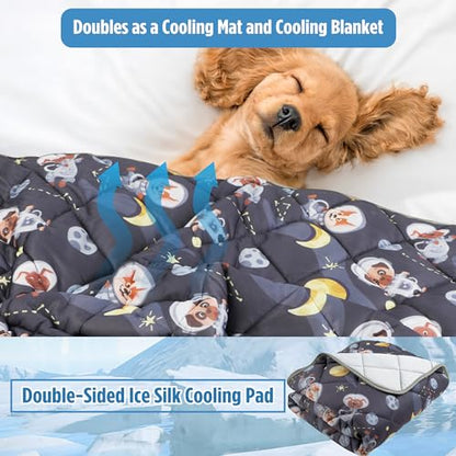 Paw Legend Cool Dog Mat for Dogs & Cats - Summertime Pet Cooling Mat & Blanket, Washable Fabric, X-Large - color: Cartoon, size: X-Large