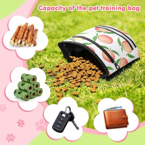 Peach Water-Resistant Dog Treat Pouch, 3 Ways to Wear Treat Bag with Magnetic Closure & Reflective Strip, Hands-Free for Pet Training, Walking