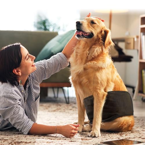 wegreeco Small Dog Diapers Male,Reusable Belly Bands for Male Dogs,Washable Doggie Puppy Male Diapers Wraps,Medium Large Size (5 Pack Medium, Black) - color: Black, size: Medium