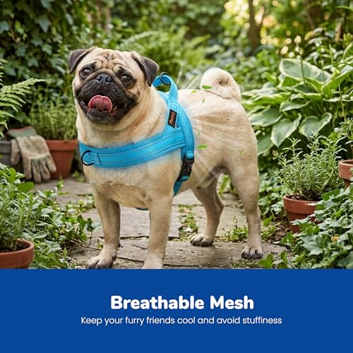 Didog No Pull Dog Harness with Breathable Mesh Padded,Reflective & Quick Fit Light Weight Dog Strap Vest Harness,Easy for Walking Training (S:Chest 18-22", Mesh-Blue) - color: Blue, size: S: Chest 18-22", Fit 19-29 lbs